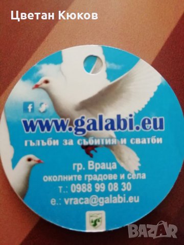 Гълъби за сватби и събития 