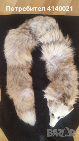 Яка от лисица 