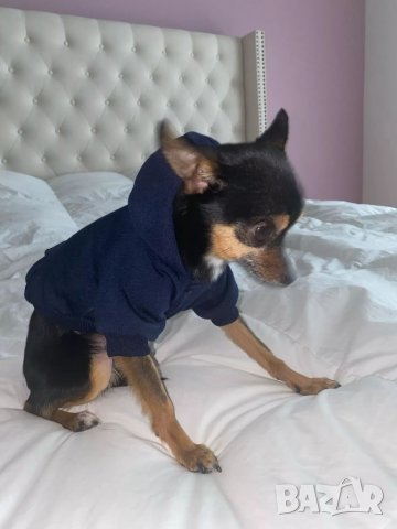 Анорак с качулка за куче. Пуловр за куче. Дрехи големи за кучета. Кучешки дрехи. Дрехи за малко куче, снимка 10 - Други стоки за животни - 38242548