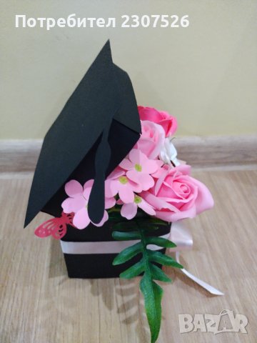 Цветя, снимка 3 - Стайни растения - 40623469