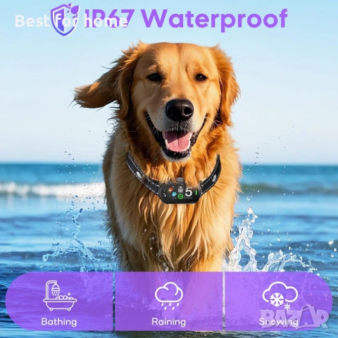 Anti-Bark Collar Large Medium Small Dogs, Training Collar for Dogs 5-100lbs, 5 Levels of Sensitivity, снимка 5 - За кучета - 53276014