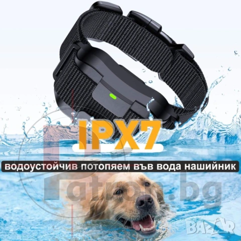 Електронен нашийник за куче, снимка 11 - За кучета - 53175891