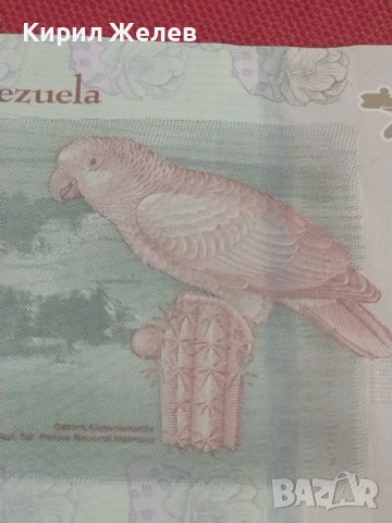 БАНКНОТА ВЕНЕЦУЕЛА ПЕРФЕКТНО СЪСТОЯНИЕ МНОГО КРАСИВА КАТО КАРТИЧКА ЗА КОЛЕКЦИОНЕРИ 36731, снимка 10 - Нумизматика и бонистика - 39847013