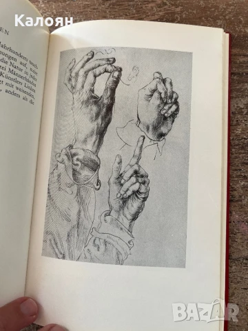 Книга за Албрехт Дюрер - акварели и рисунки на немски , снимка 7 - Специализирана литература - 51009336