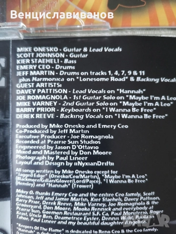 BLUES ROCK , снимка 10 - CD дискове - 51582518