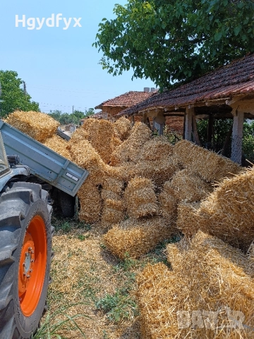 Балли слама , снимка 4 - За селскостопански - 50934988