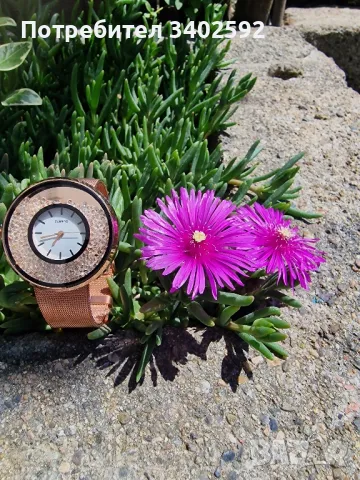 Дамски часовник, снимка 6 - Дамски - 50303965