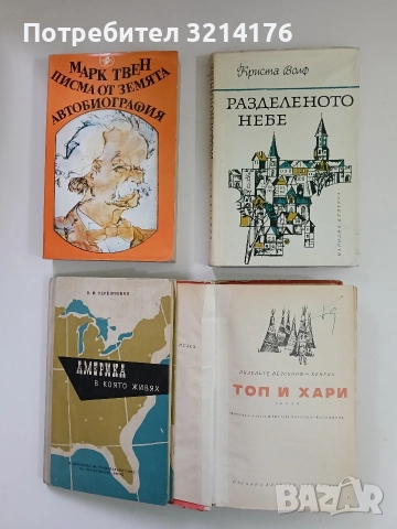 Разделеното небе - Криста Волф