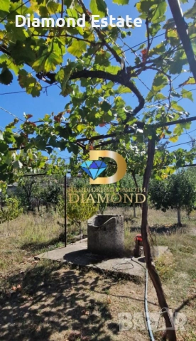 Едноетажна къща в село Книжовник, обл. Хасково, снимка 14 - Къщи - 52115038