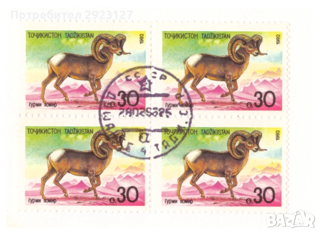 НУМИЗМАТИЧЕН ПЛИК С БАНКНОТА (Numisbrief) - ТАДЖИКИСТАН, снимка 4 - Нумизматика и бонистика - 52316589