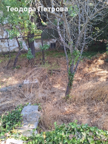 Парцел със стара къща за събаряне, снимка 5 - Парцели - 41017971