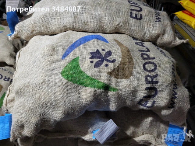 Семе картофи Клас А 35/55 Марабел