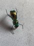 Изкуствени бръмбари за риболов на кефал, снимка 4