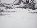Картина туш перо литография Невена Серафимова 1988 г, снимка 2