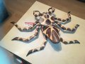 дървен паяк/рак/звяр с 6 крака 70см 1304211207, снимка 13