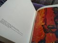 Nikolay Roerich Masters of World Painting / 1976 г-издание включващо 25фотоса на картини 1897-1941г, снимка 12