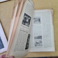 НИВА, седмично илюстровано списание за култура, художествена литература и наука, 7 броя 1931 и 1932 , снимка 10 - Колекции - 35331931