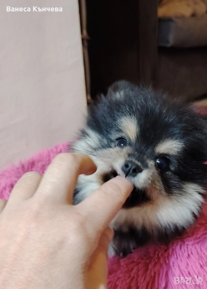 момиченце , снимка 1