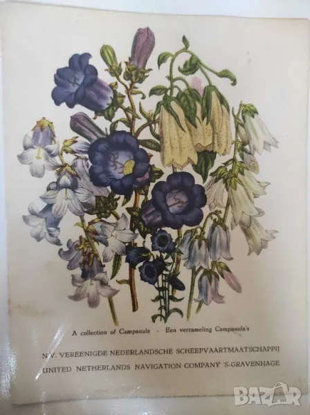 Карта на бордовото меню на холандската корабна компания 1964 г , снимка 1