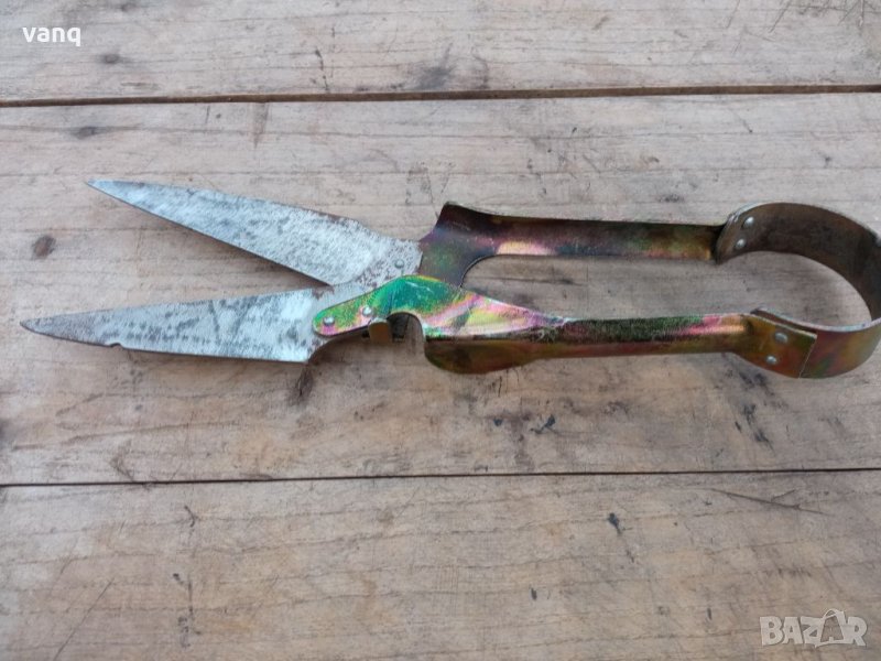 Ножица за постригване на овце, снимка 1