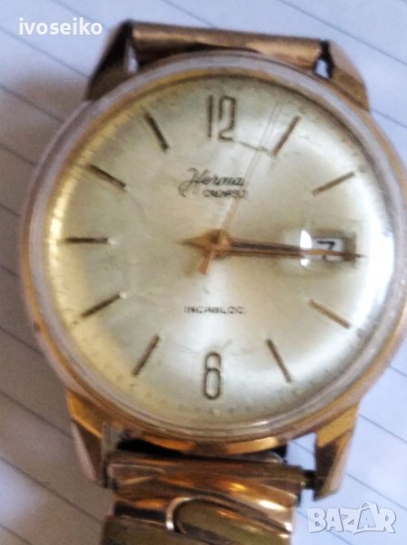 Herma calypso, снимка 1