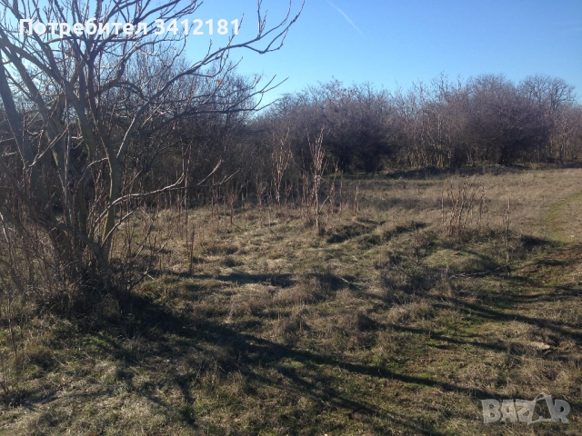 Голям парцел за застрояване в село Бежаново област Добрич собственик , снимка 3 - Парцели - 52341682