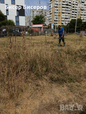 Косене на трева и храсти , снимка 5 - Други почистващи услуги - 51556849