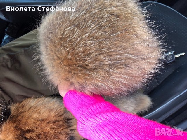 парка естествена лисица ракун косъм, снимка 2 - Палта, манта - 27196014