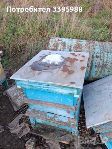Кошери за пчели, снимка 3 - За пчели - 52938464