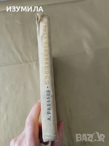 Бронзовата птица - Анатолий Рибаков, снимка 2 - Детски книжки - 53337416