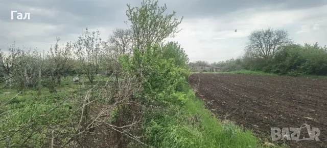 Къща с двор 2718кв.м в регулация в село Могилище на 10км. от плажа 2718кв.м. , снимка 6 - Парцели - 50104229