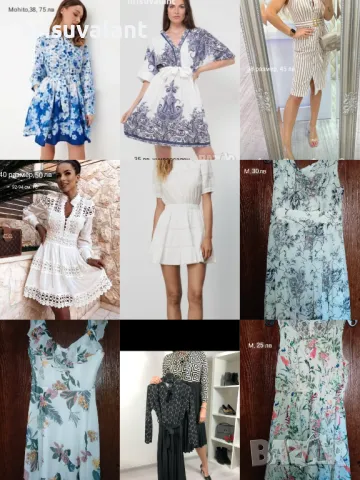 Разнообразие от рокли 