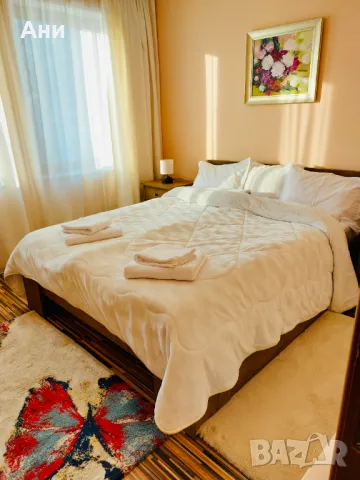 Апартамент за гости "При Ани" гр. Чепеларе, снимка 14 - Апартаменти - 37151013