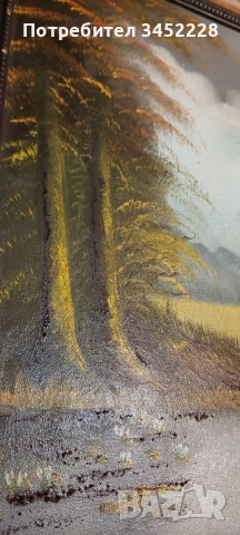 картина платно рамка дървена 65см 55см за ценители , снимка 8 - Картини - 52506076