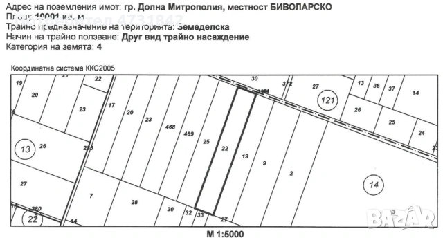 Орехова градина , снимка 2 - Земеделска земя - 53402202