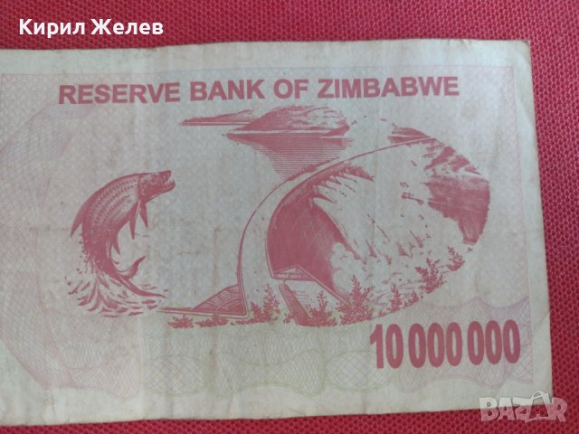 Рядка банкнота 10 000 000 долара ЗИМБАБВЕ много красива красива за колекция декорация 28390, снимка 6 - Нумизматика и бонистика - 37133782