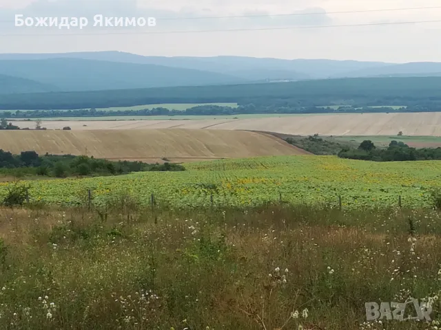 Парцел Бяла, област Варна, снимка 6 - Парцели - 50363074