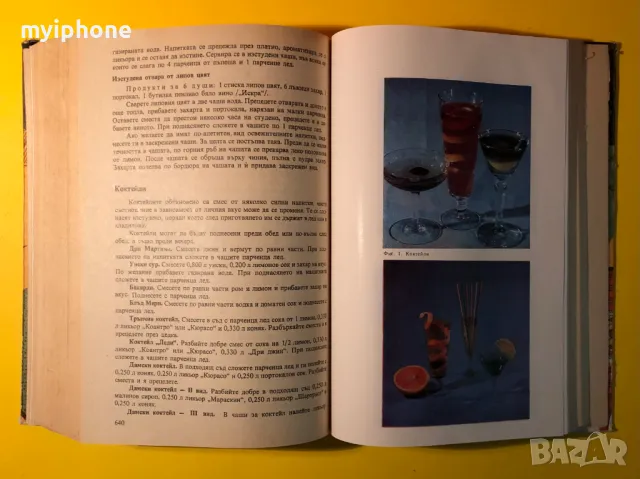 Стара Книга За Всеки Ден и Всеки Дом Домакинска Енциклопедия, снимка 10 - Специализирана литература - 49240653