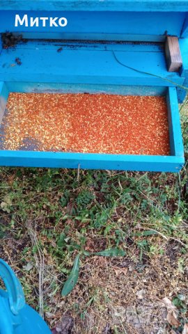Пчелен прашец билков - реколта 2025, снимка 13 - Пчелни продукти - 14722628