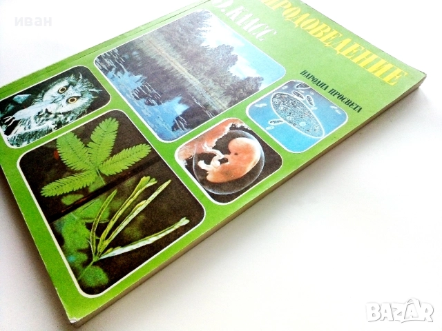 Природоведение 5. класс - 1986г.Издателство "Народна Просвета", снимка 9 - Учебници, учебни тетрадки - 52930038