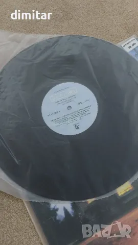 C.C.CATCH, снимка 3 - Грамофонни плочи - 47766866