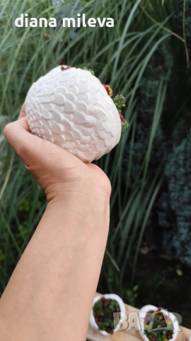 Гипсокерамични крила с формата на сърце и с живи студоустойчиви сукуленти!, снимка 13 - Декорация за дома - 52435989