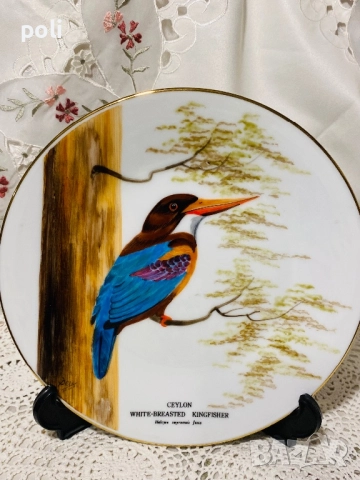 порцеланова чиния за стена , снимка 2 - Декорация за дома - 51573297