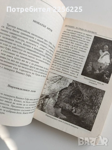 В търсене на града на Боговете - Трагичното послание на древните, снимка 8 - Художествена литература - 53403269