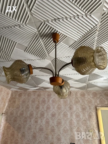 Полилей  , снимка 2 - Полилеи - 51213517