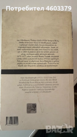 TOLSTOY „ANNA KARENİNA", снимка 2 - Художествена литература - 51856266