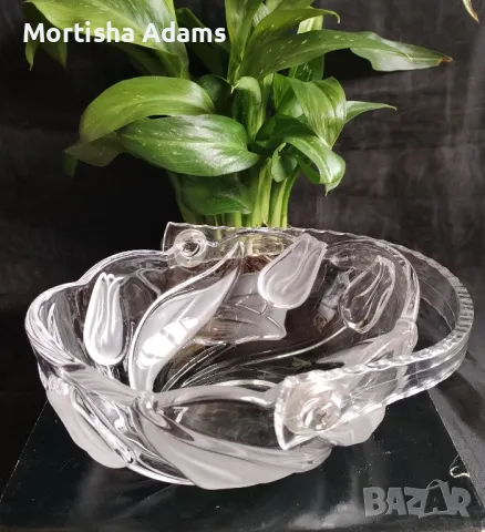 Walter glass, Nadine , снимка 3 - Други - 49668016