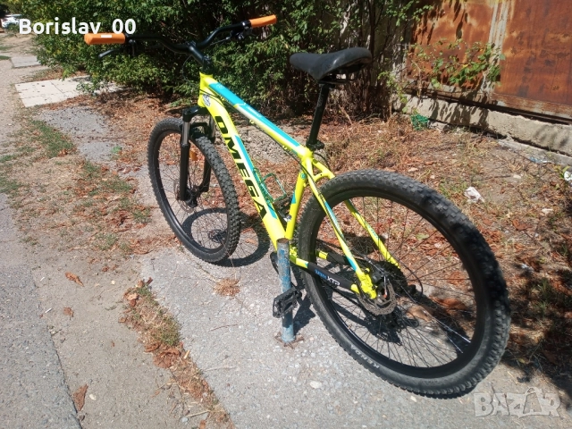 Велосипед-Omega Thomas-29, снимка 4 - Велосипеди - 51440144