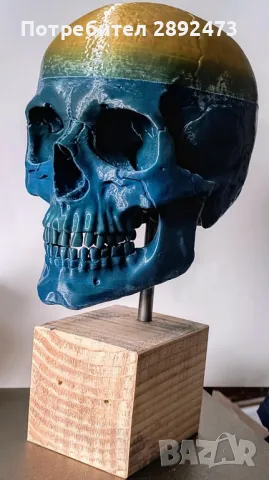 3D принтиран анатомичен череп – детайлен и стилен декор, снимка 14 - Други - 49012075