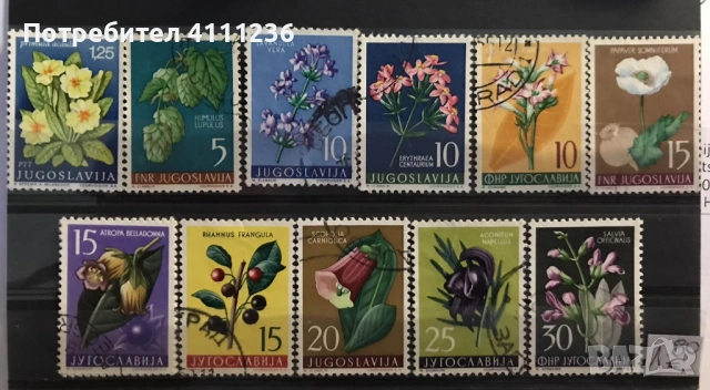 Флора - цена на всяка снимка!, снимка 4 - Филателия - 53456665